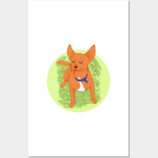 Podenco garden Posters and Art